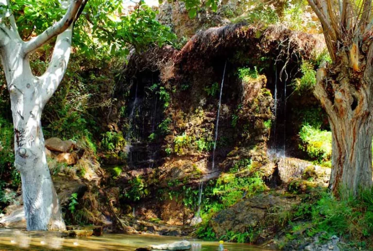 چشمه انگورستانی