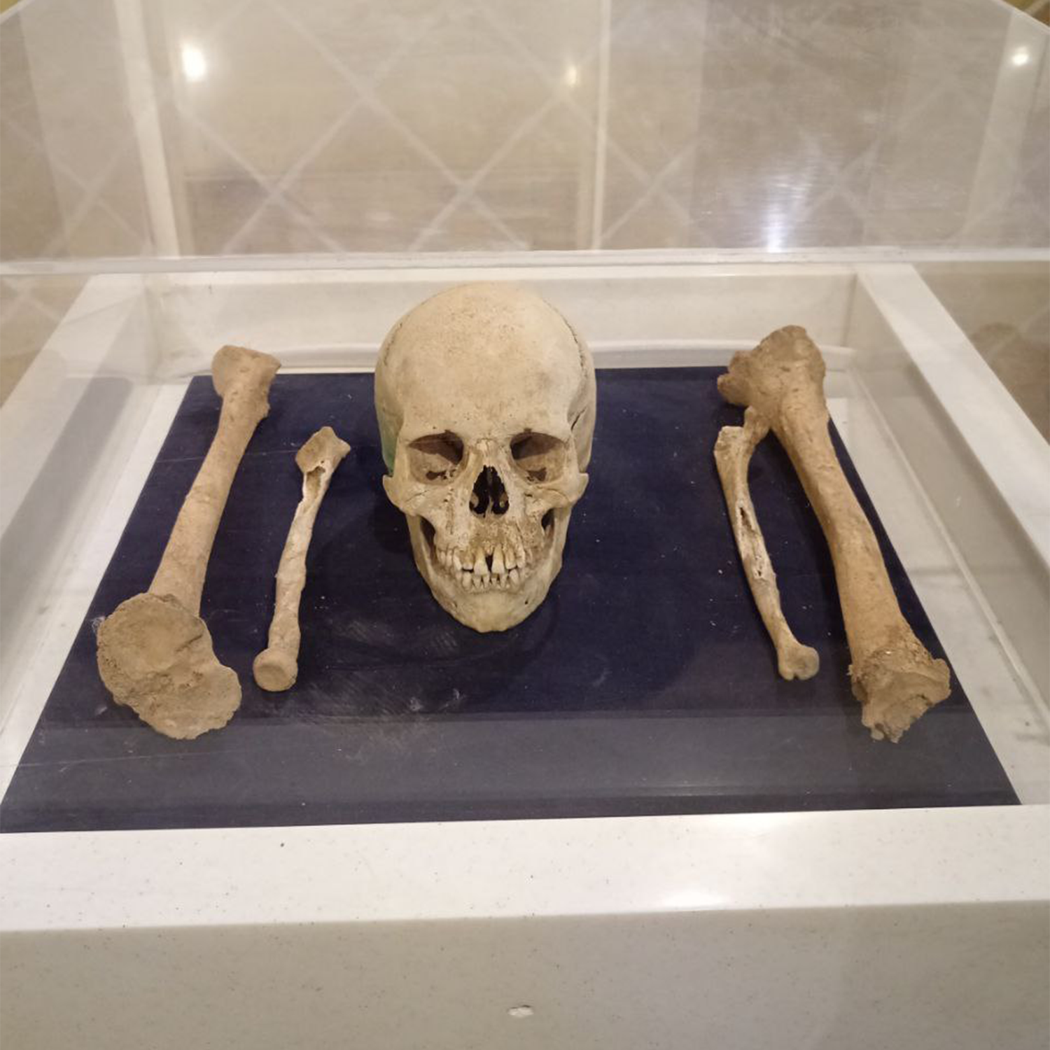 کافه و رستوران راه ابریشم