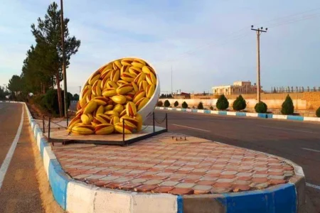 پاکسازی